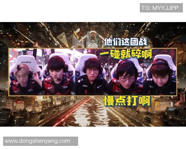 TES战队与FLY战队赛后语音精彩回顾与分析分享