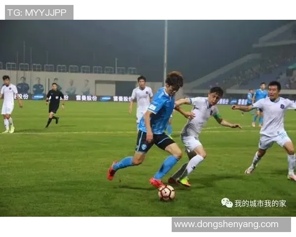 丽江飞虎迎战保定队期待精彩对决与球迷激情共鸣